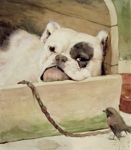 斗牛犬，1927年